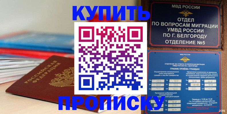 прописка для работы в Кингисеппе